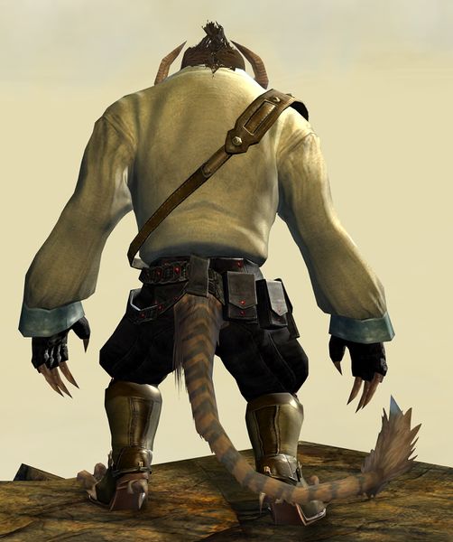 File:Casual Clothing Outfit charr male back.jpg