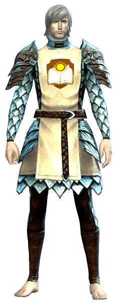 File:Guild Defender armor human male front.jpg