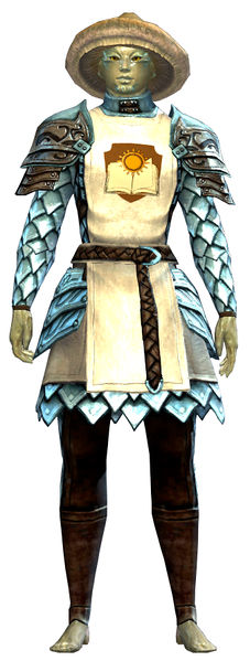 File:Guild Defender armor sylvari male front.jpg