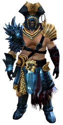 Scallywag armor norn male front.jpg