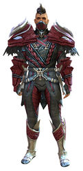 Strider's armor human male front.jpg