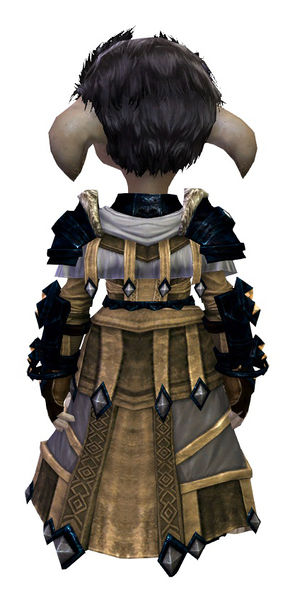 File:Armor of Koda (light) asura male back.jpg