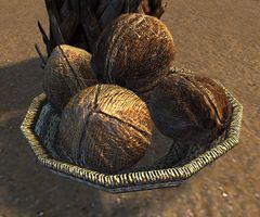 Basket of Coconuts.jpg