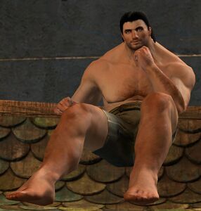 Illusion of Sitting (Serious) norn male.jpg