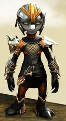 Elegy armor (medium) asura male front.jpg