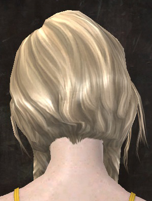 File:Unique human female hair back 3.jpg