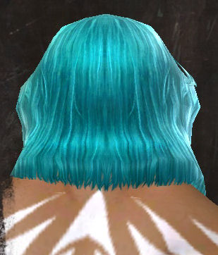 File:Unique norn male hair back 10.jpg