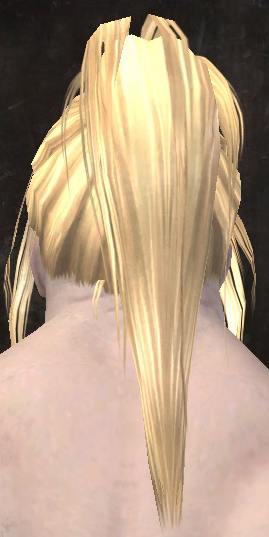 File:Unique norn male hair back 3.jpg
