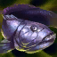 File:Wolffish.png