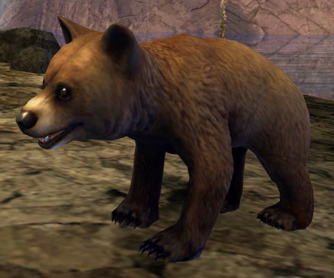 File:Bear Cub.jpg