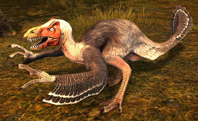 File:Vulture Raptor.jpg