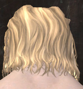 File:Unique norn male hair back 7.jpg