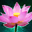 File:Lotus Flower.png