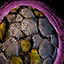Skyscale Egg 17.png