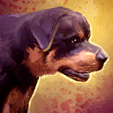 File:Mini Rottweiler.png