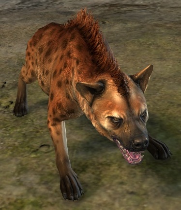 File:Dark Brown Fur Spotted Hyena.jpg