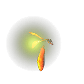 File:Firefly animation.png