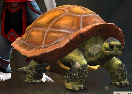 File:Mini Siege Turtle Hatchling.jpg