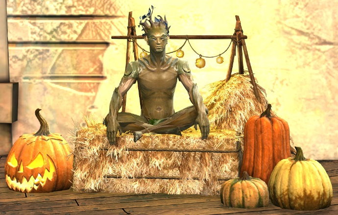 File:Festive Harvest Chair sylvari male.jpg