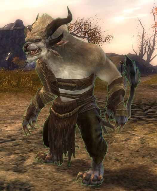 Farmer (merchant) - Guild Wars 2 Wiki (GW2W)