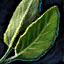File:Sage Leaf.png