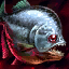 Red-Eyed Piranha.png