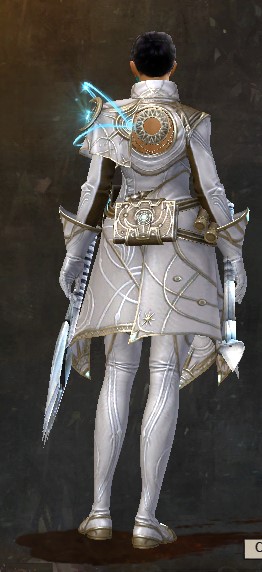 File:Astral Scholar Outfit norn female back.jpg