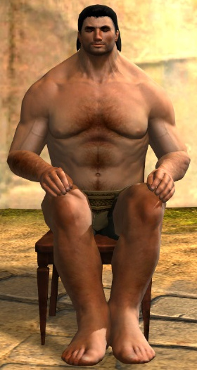File:Chair (novelty) norn male.jpg