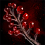 File:Cluster of Baneberries.png