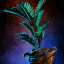 File:Potted Blue Moa Fern.png