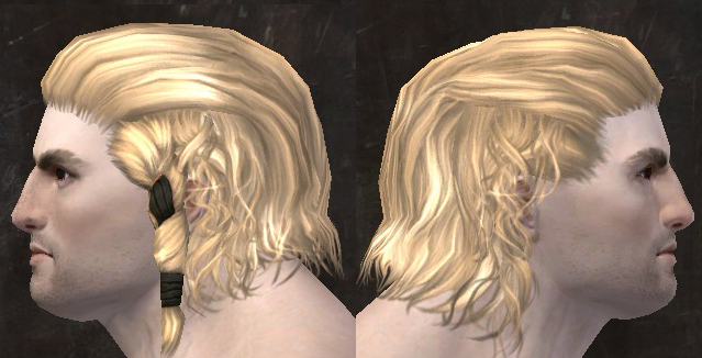 File:Unique norn male hair side 7.jpg