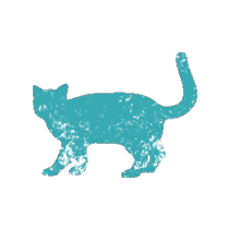 File:Proxemics Lab Cat.png