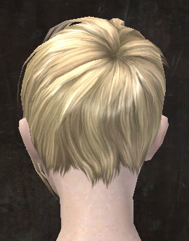 File:Unique human female hair back 6.jpg