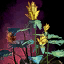 Potted Blooming Moa Fern.png
