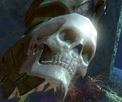 Ancient Cursed Skull.jpg