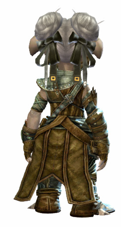File:Heritage armor (medium) asura female back.jpg