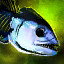 File:Rotten Fish Head.png