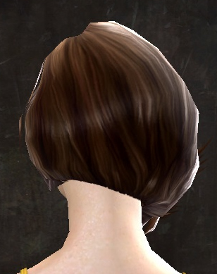 File:Unique human female hair back 14.jpg