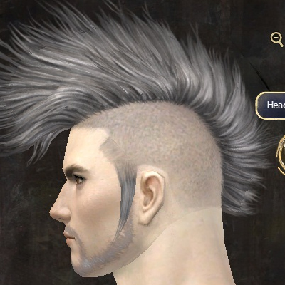 File:Unique human male hair side 5.jpg