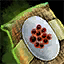 File:Asparagus Seed Pouch.png