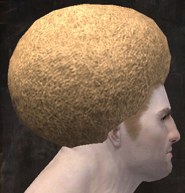 File:Unique norn male hair side 5.jpg