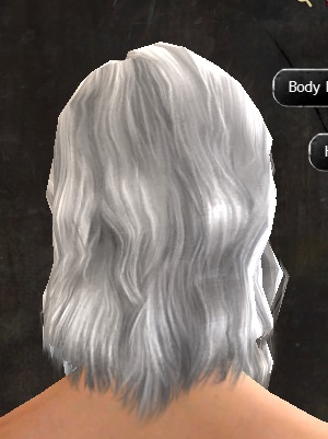 File:Unique human male hair back 18.jpg