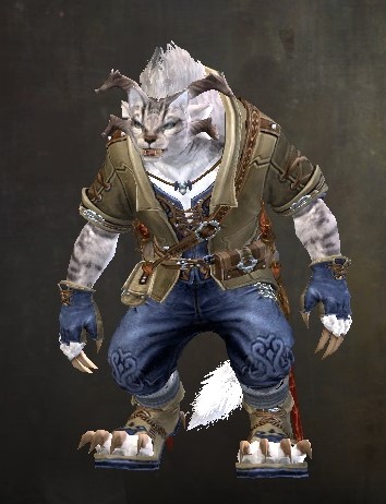 File:Adventurous Cat Outfit charr female front.jpg