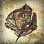 File:Perfectly Preserved Leaf.png