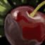 File:Chocolate Cherry.png