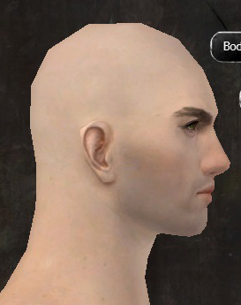 File:Unique human male face side 2.jpg