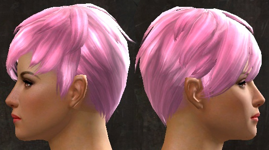 File:Unique norn female hair side 9.jpg