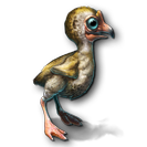 File:Mini Moa Chick icon.png