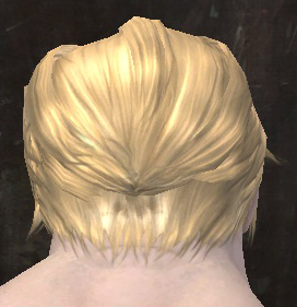File:Unique norn male hair back 9.jpg