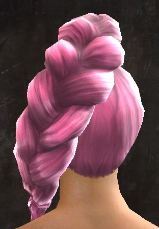 File:Unique norn female hair back 11.jpg